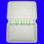 disposable dinning boxes