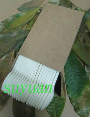 environmentally cutlery in brown paper box 