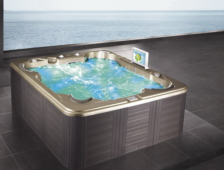 swim spa jacuzzi 