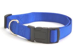 dog collars