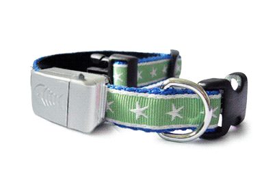 pet collars