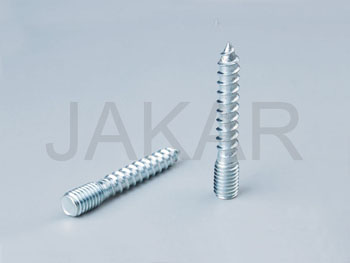 Double Head Screw 