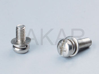  Combination Screw With Spring & Round Washer