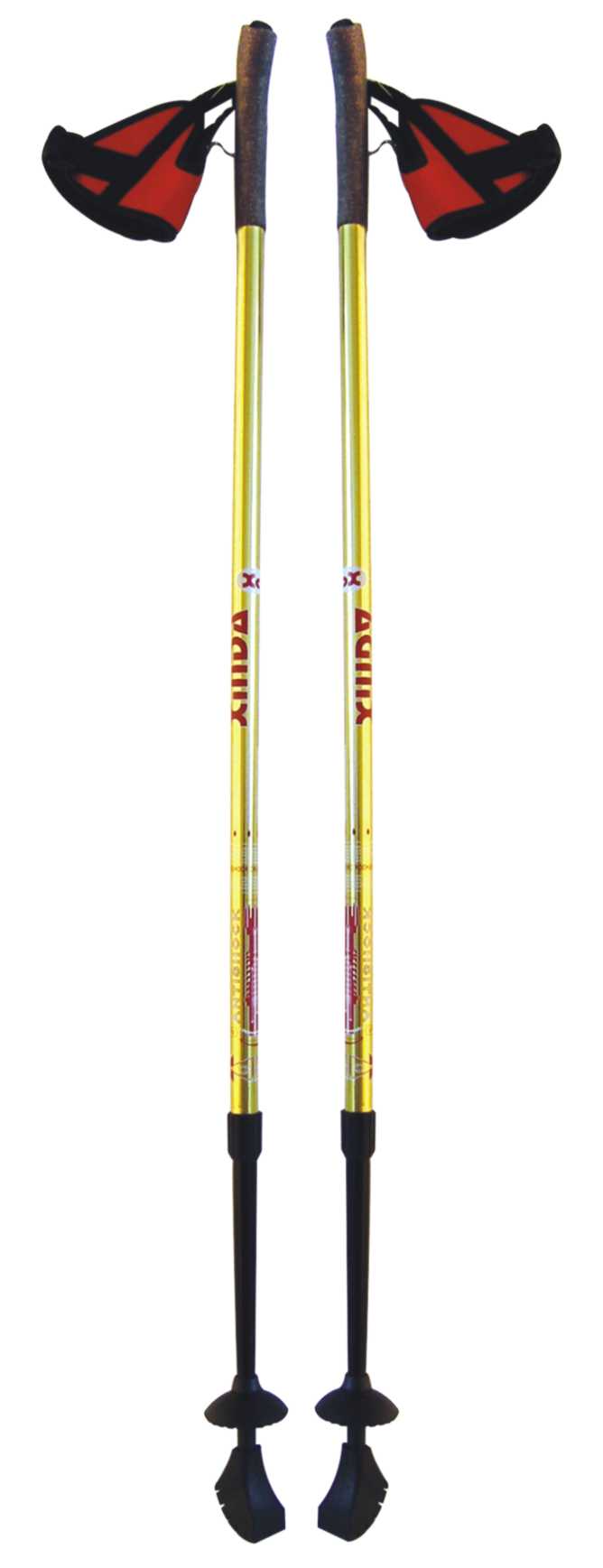 nordic walking stick