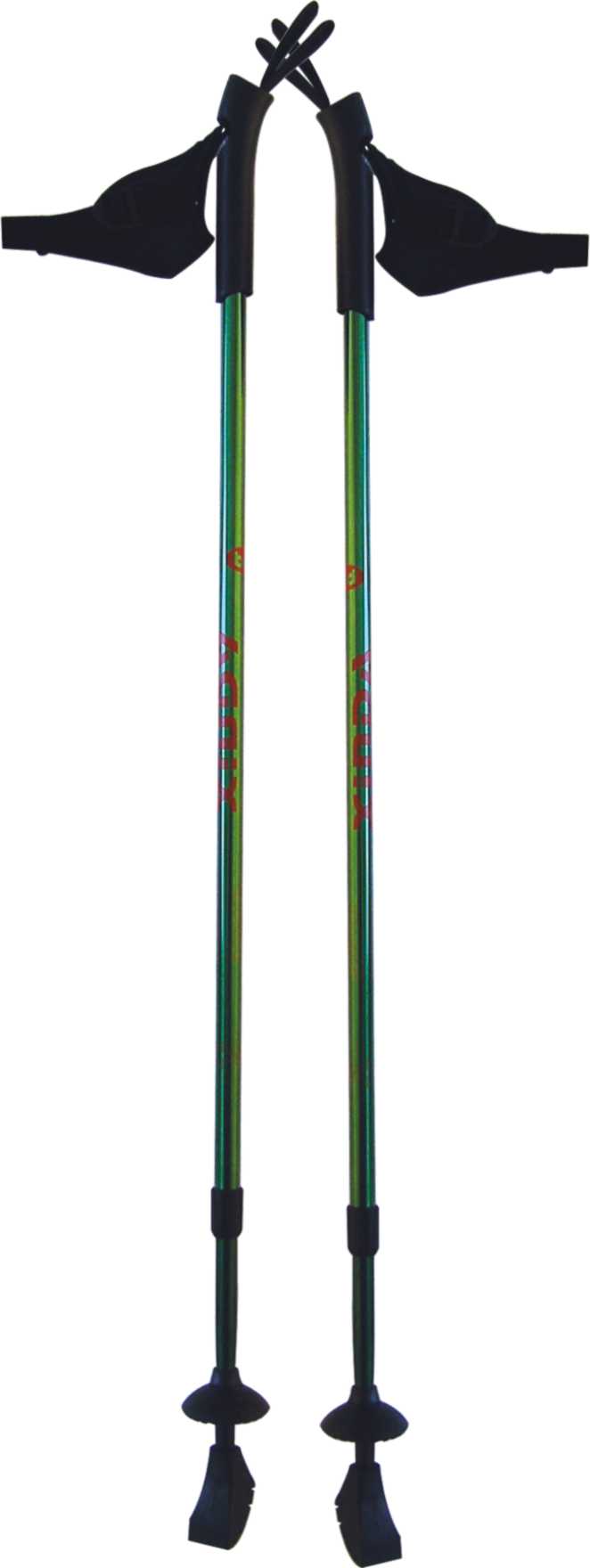 nordic walking stick