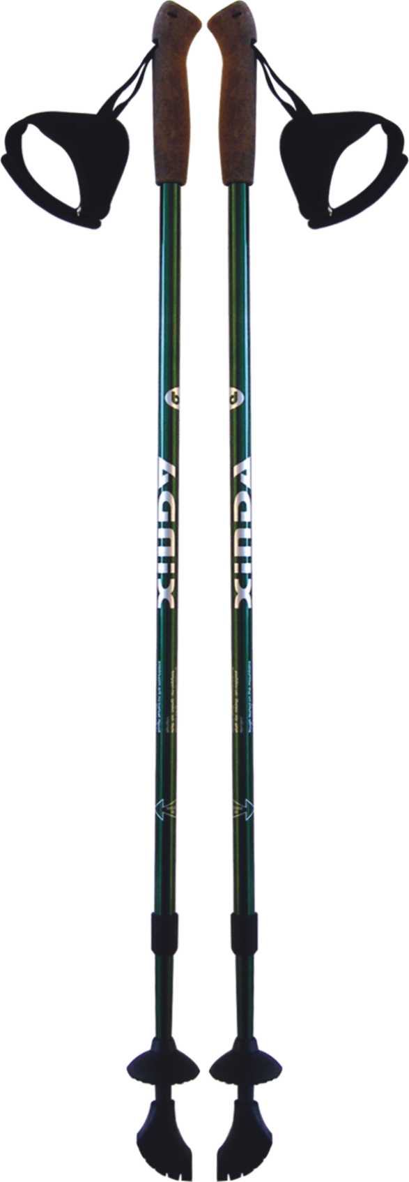 nordic walking stick