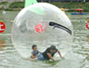 Water Walking Ball