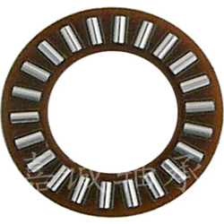 Thrust Needle Roller Bearing