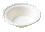 Environmental Bowl