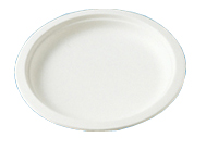 Biodegradable Plate