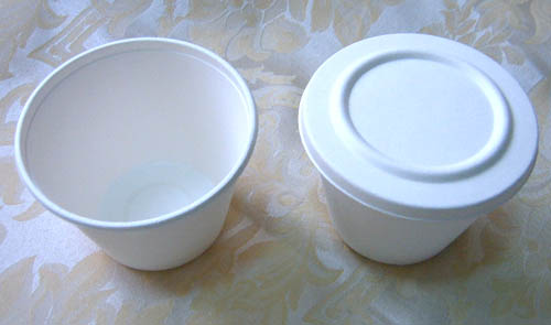 Biodegradable 500ml Paper Cup with Cap