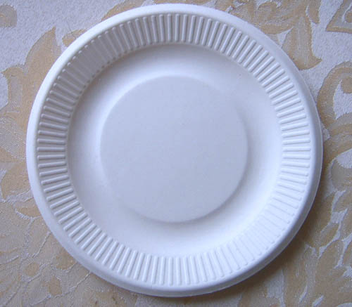 Environmental Paper Plate