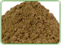 fishmeal