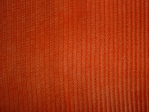 Dyed and Printed Corduroy