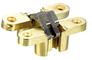 Zinc Alloy Conceal Hinges