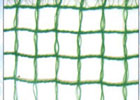 olive net