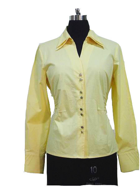 Ladies blouse