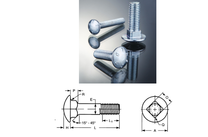 carriage bolts