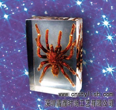 Insect Amber Decoration