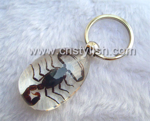 Insect Amber Key Chains