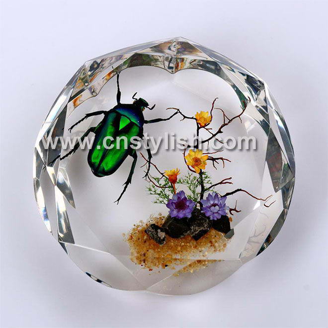 Insect Amber Crafts-Decoration