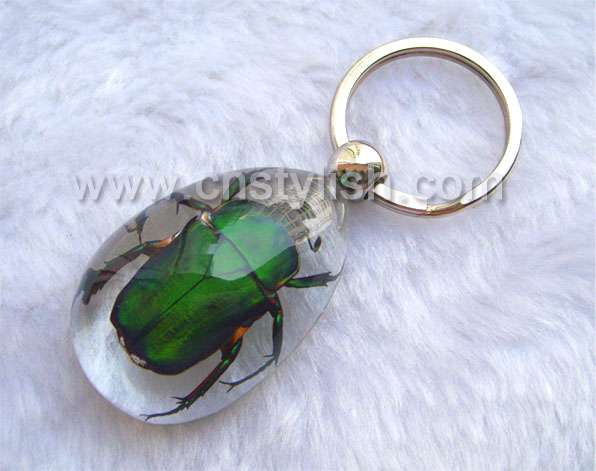 Insect Resinic Key Chains