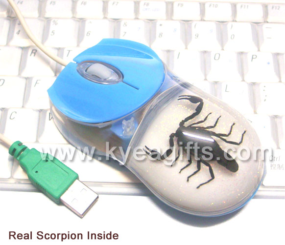 Real seashell amber optical mouse