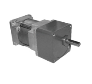 AC Gear Motor