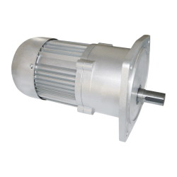 AC Gear Motor