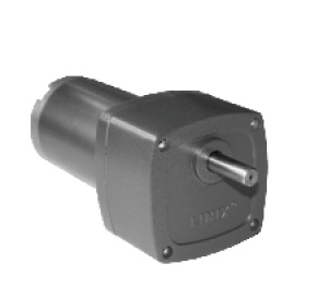 DC Gear Motor