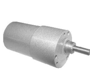 Brushless DC Motor