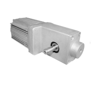 BLDC MOTOR