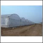 GoRun Polycarbonate sheet for Green house