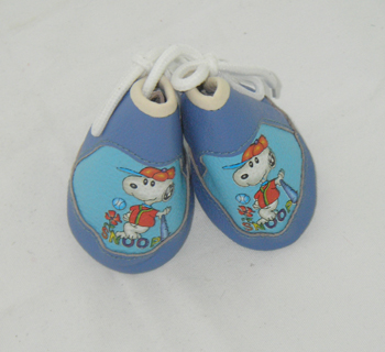 pet shoes