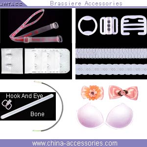 Brassiere Accessories