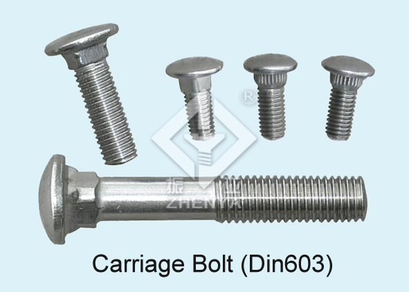 Carriage Bolt(Din603)