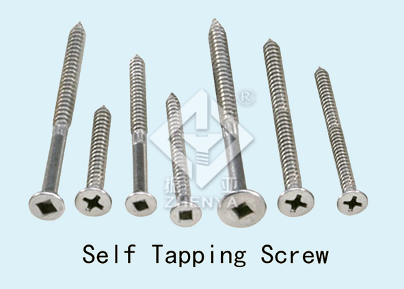 Self Tapping Screw