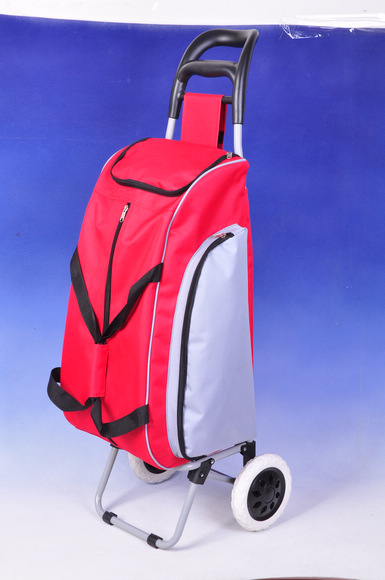 Shopping Trolley  with sports bag