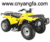 ATV (250cc)