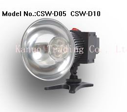 10w LED light