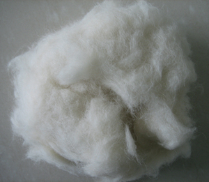 wool waste,carpet grade raw wool