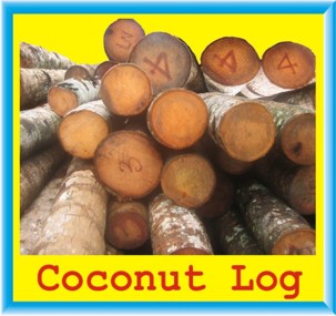 coconut log