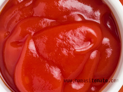 tomato paste in aseptic bag