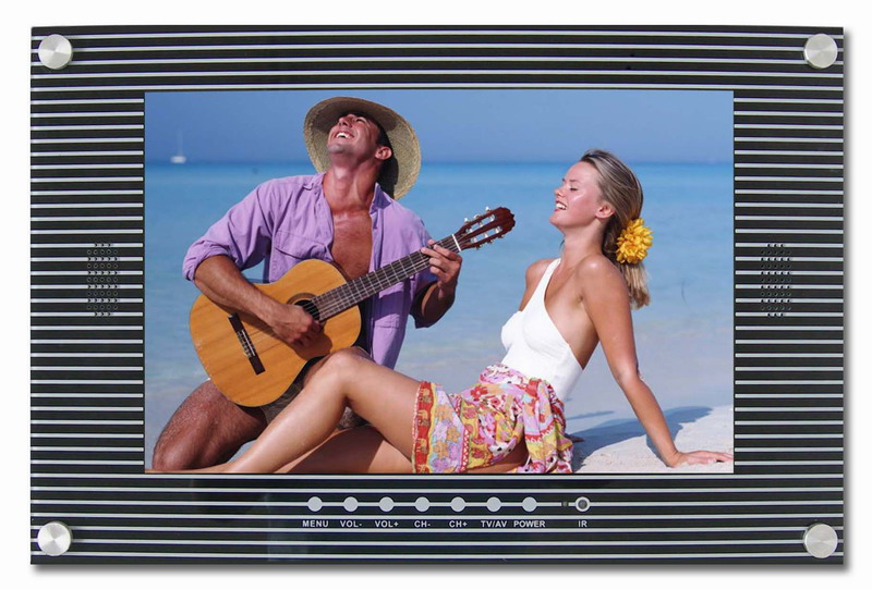 17 inch waterproof LCD TV