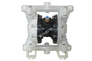 RW Series Pneumatic diaphragm pump