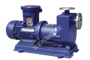 ZCQ Self Priming Magnet Pump 