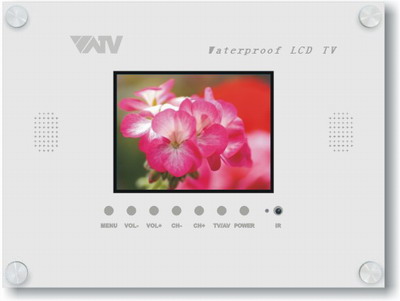 3 in 1 waterproof 5in LCD TV