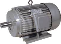 Y three phase AC electric motor