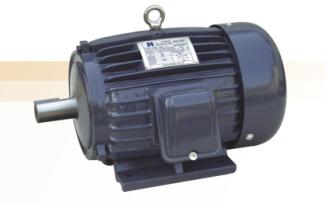 AEEF motor