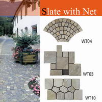 Slate with Net